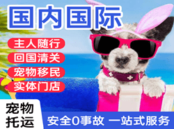 张家口宁远机场物流国际宠物托运 【国